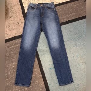 Stylish Denim Straight Jeans for Women